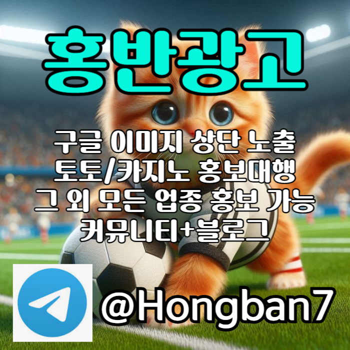 Fs구글이미지홍보하기-토토사이트홍보-카지노홍보-토토광고-구글이미지광고006.jpg