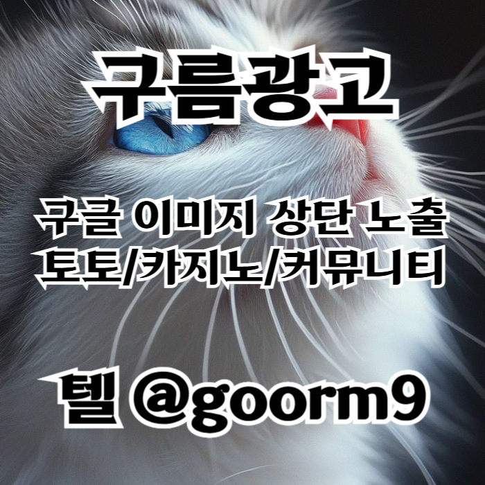 토토사이트홍보-구글이미지홍보하기-카지노홍보-토토광고-사설토토홍보-구글이미지광고49u8v45y9u8y90845.jpg