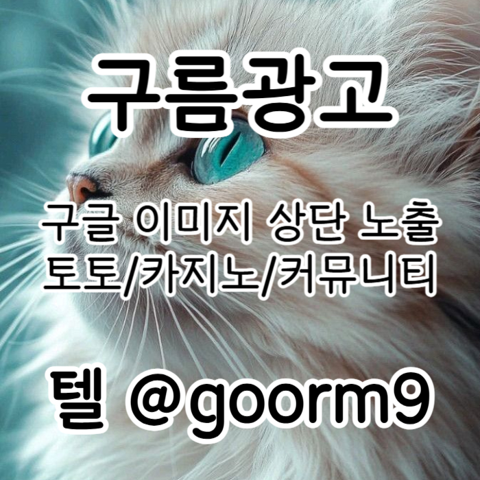 dtfhbhbgtfhbgf토토사이트홍보-구글이미지홍보하기-카지노홍보-토토광고-사설토토홍보-구글이미지광고003.jpg