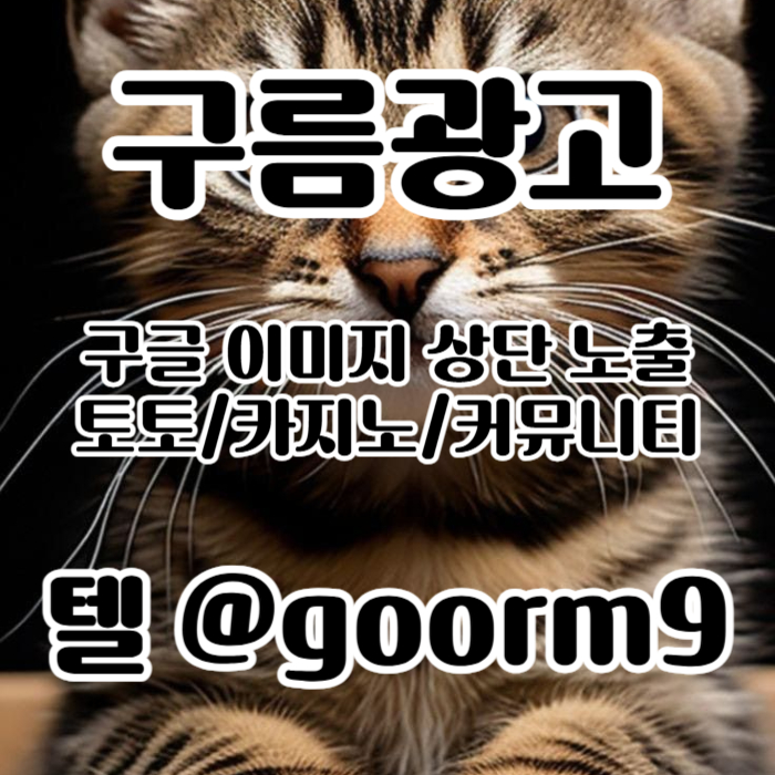 토토사이트홍보-구글이미지홍보하기-카지노홍보-토토광고-사설토토홍보-구글이미지광고94um8t5u45908y.jpg